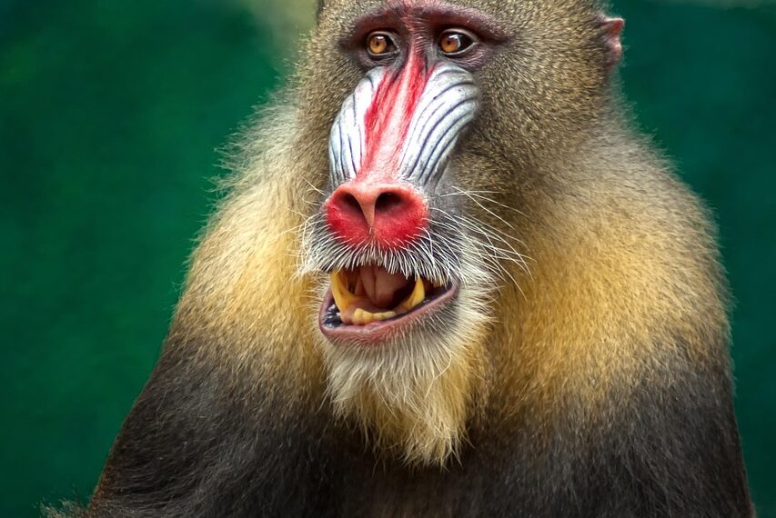 Digital logistics Africa illustration for How Digital Logistics Is Transforming African Trade Opportunities