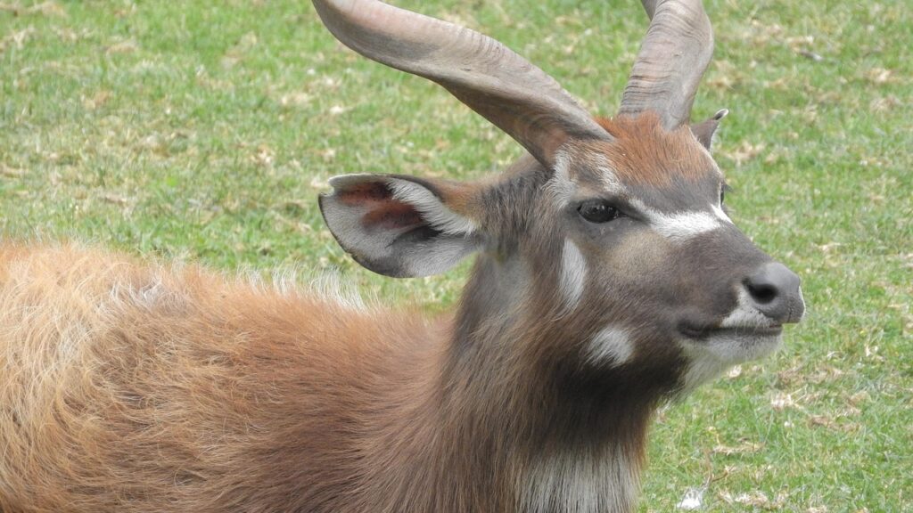 Illustration of How to Choose Between Road and Sea for West African Shipping