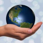 Illustration of How to Evaluate Transport Offers Effectively and Confidently