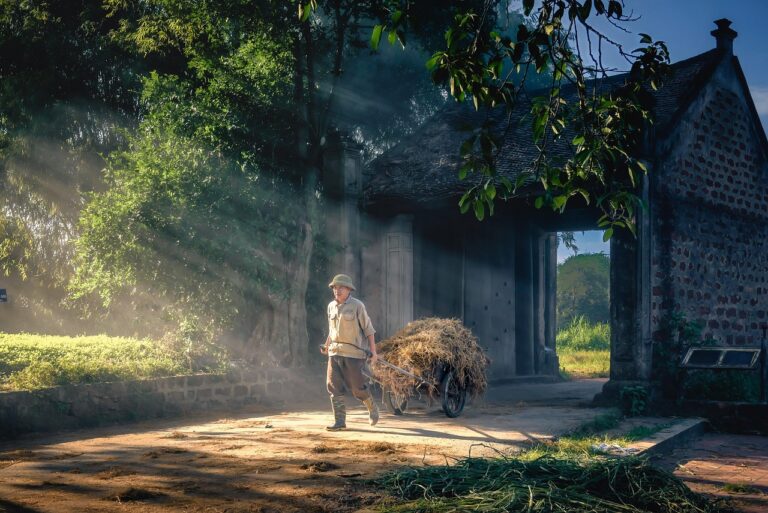 Illustration of Maximise Transporter Earnings on Cross-Border Jobs: Essential Tips