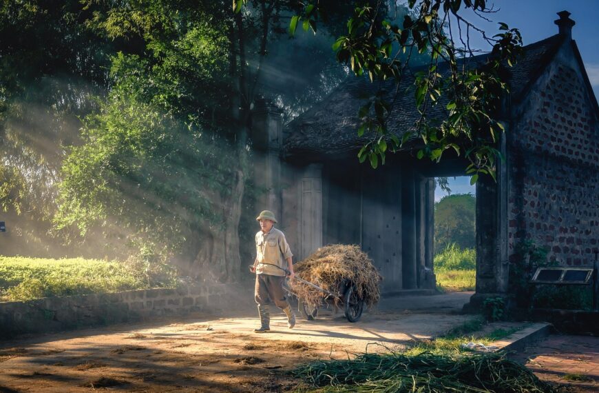 Illustration of Maximise Transporter Earnings on Cross-Border Jobs: Essential Tips