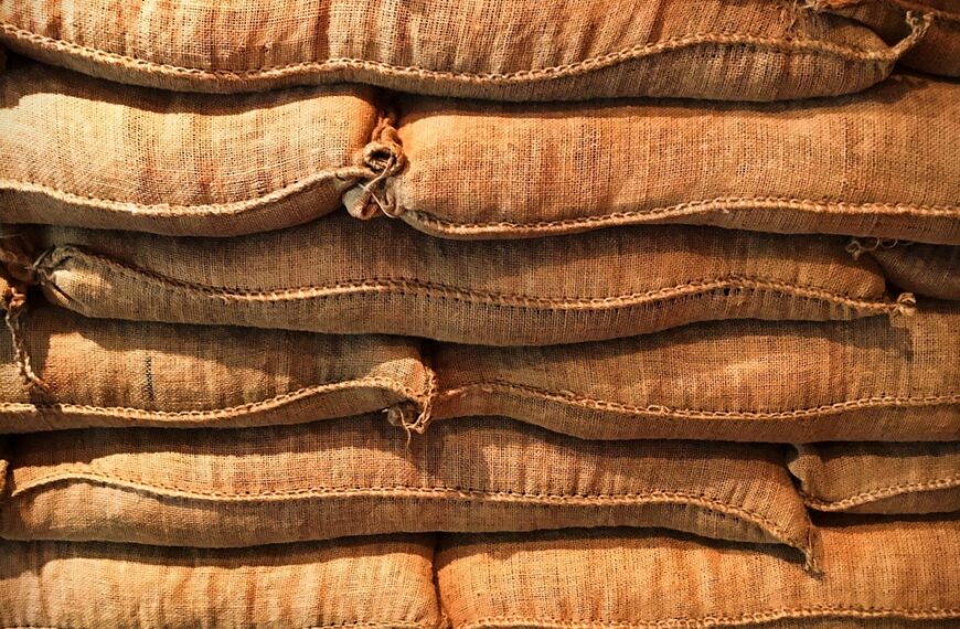 overseas shipments management illustration for The Smart Way to Manage Multiple Overseas Shipments Efficiently