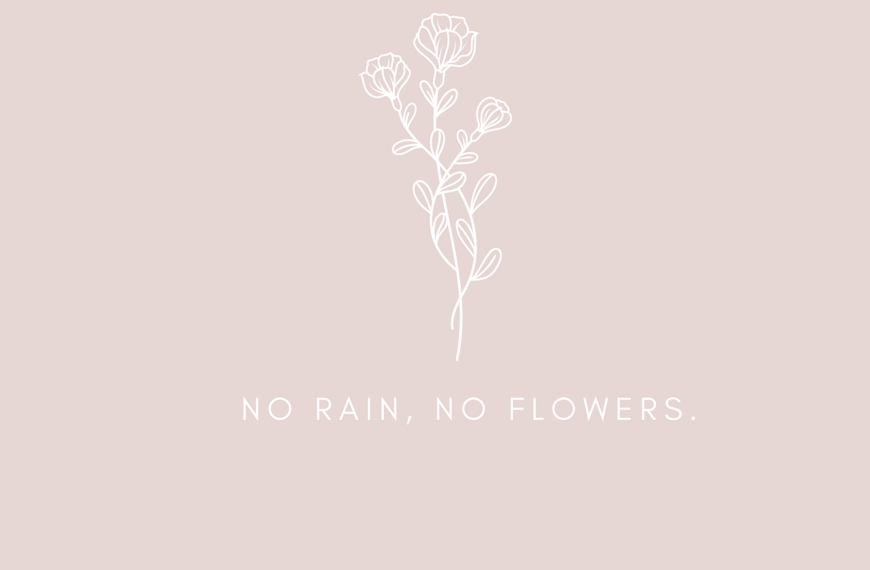 quote acceptance process illustration for What Happens After a Quote Is Accepted on Afodel?