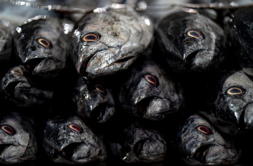 Illustration of Why Transporters Prefer Transparent Marketplaces for Efficient Logistics